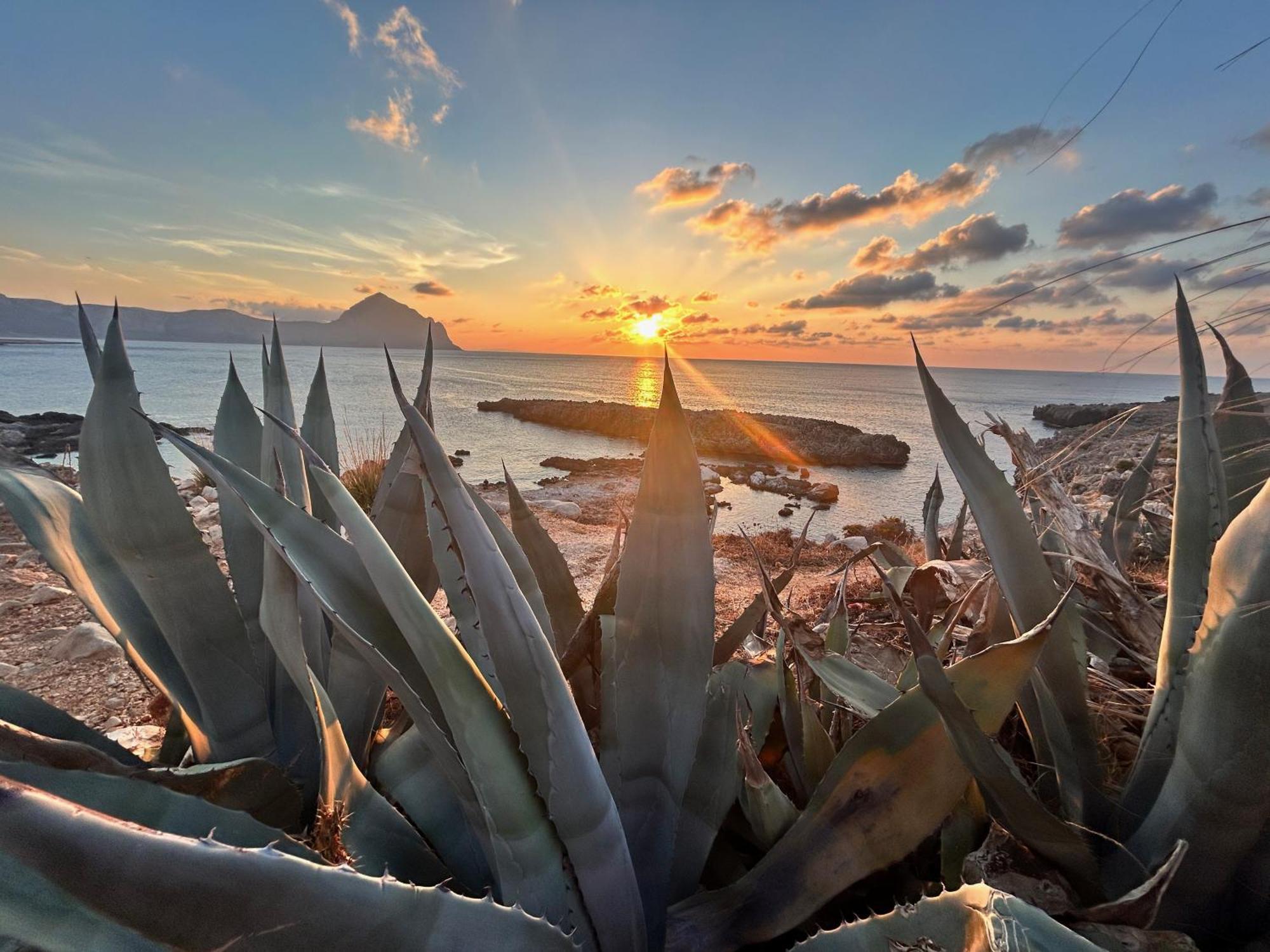 L'Oasi Una Pineta Sul Mare Custonaci Exterior foto